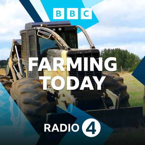 Open Farm Sunday, Wildflower hunt, Harriet Fraser
