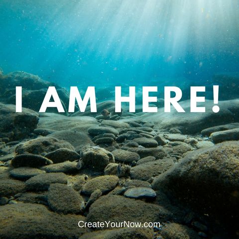 1214 I Am Here!