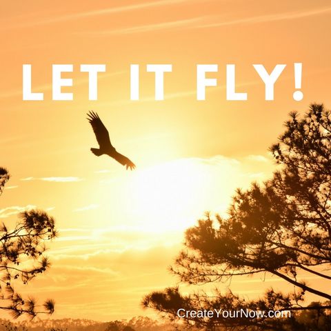 1165 Let it FLY!