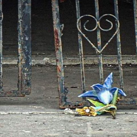 Voices From the Storm: Remembering Hurricane Katrina