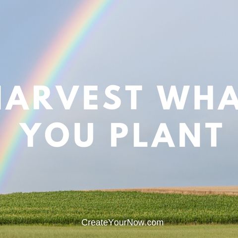1375 Harvest What You Plant
