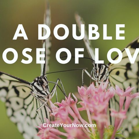 1855 A Double Dose of Love