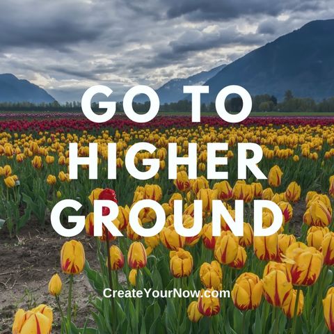 2631 Go to Higher Ground