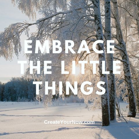 2888 Embrace the Little Things