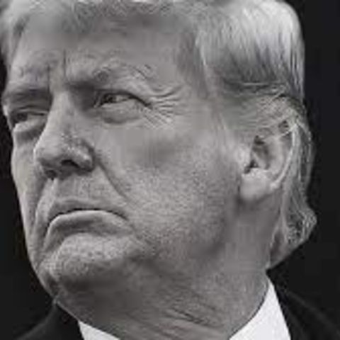 February 7, 2024. Midweek Memo - Trump Not Immune.