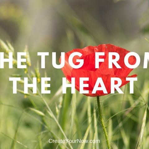 1212 The Tug from the Heart