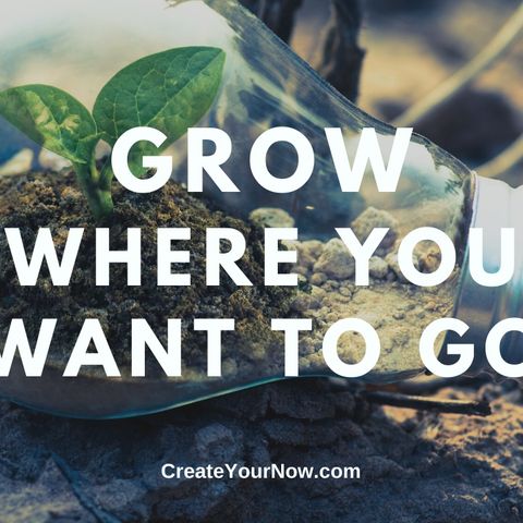2005 Grow Where You Want to Go
