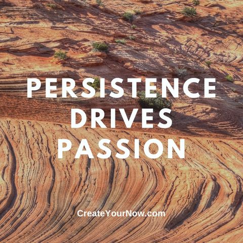 2881 Persistence Drives Passion