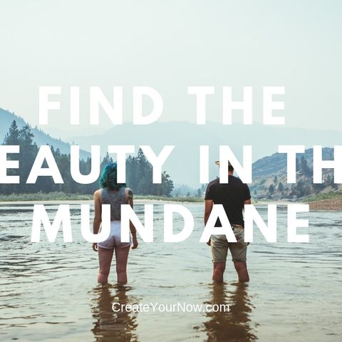 1512 Find the Beauty in the Mundane