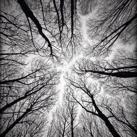 atish - [082] - february 2020 - looking up