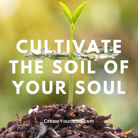 2921 Cultivate the Soil of Your Soul