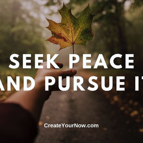 2496 Seek Peace and Pursue It
