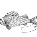 Why Fish Don't Exist