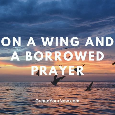 2557 On a Wing and a Borrowed Prayer